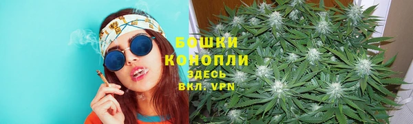 стафф Нягань