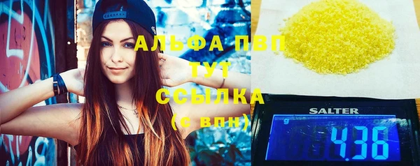 сатива Богданович