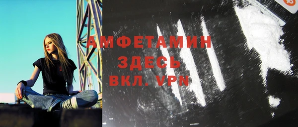 шишки Бородино